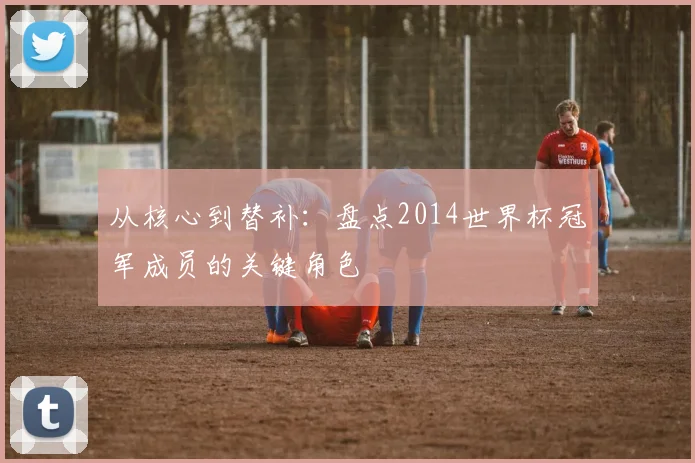 从核心到替补：盘点2014世界杯冠军成员的关键角色