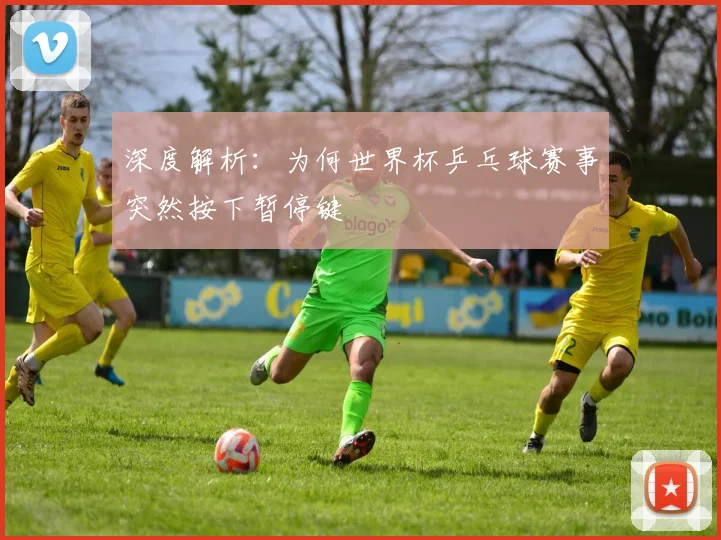 深度解析：为何世界杯乒乓球赛事突然按下暂停键