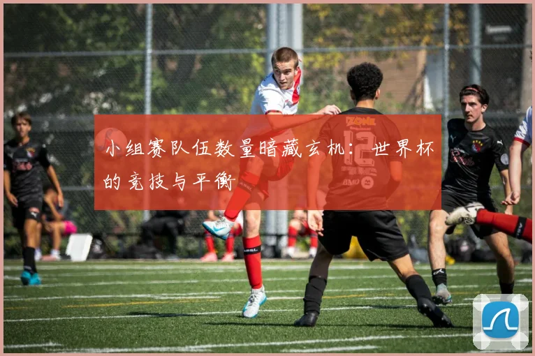 小组赛队伍数量暗藏玄机：世界杯的竞技与平衡