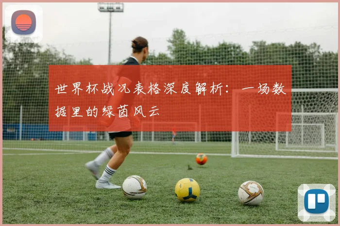 世界杯战况表格深度解析：一场数据里的绿茵风云