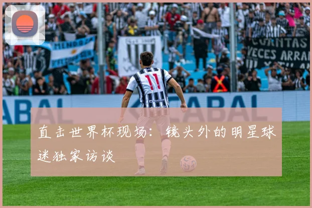 直击世界杯现场：镜头外的明星球迷独家访谈