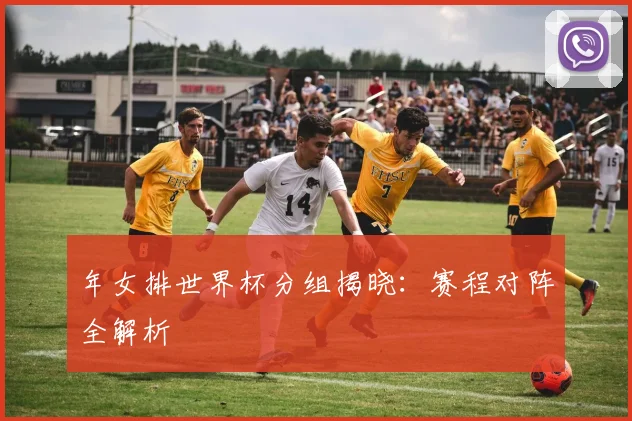 年女排世界杯分组揭晓：赛程对阵全解析